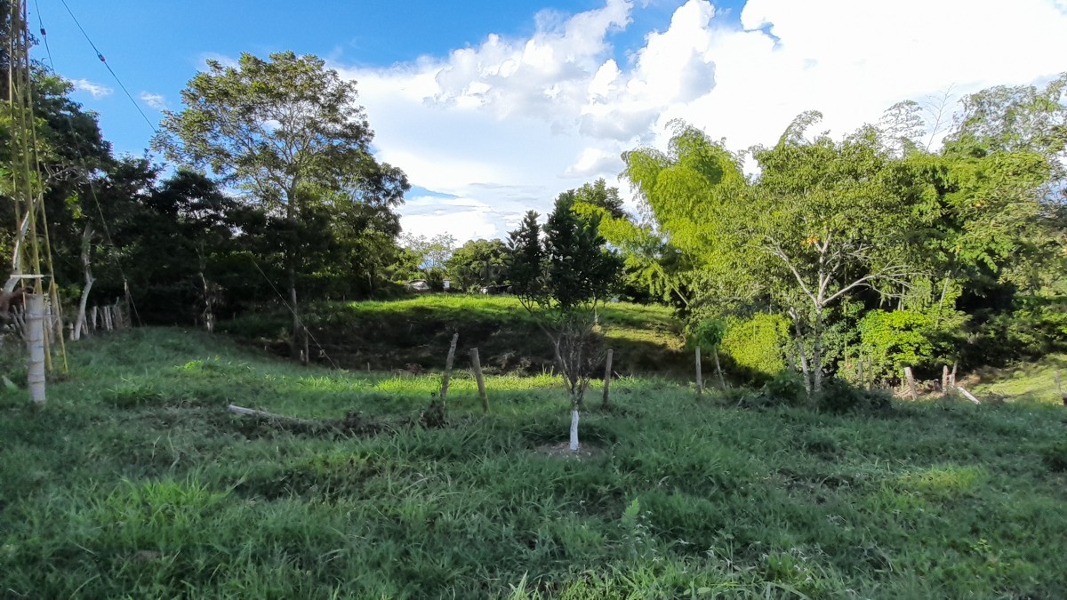 Foto de Lote / terreno en Venta en Arauca via risaralda, Risaralda - 5 - 279024588