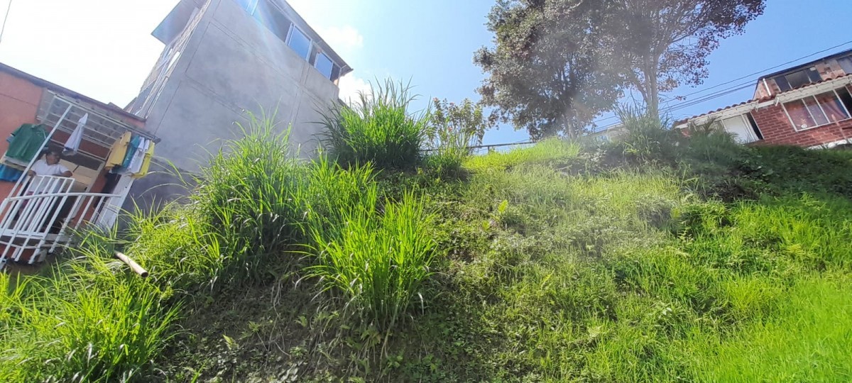 Foto de Lote / terreno en Venta en La isabela, Villamaria - 5 - 25073