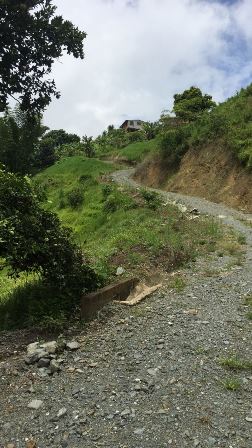 Foto de Finca en Venta en Las pavas, Chinchina - 5 - 16774