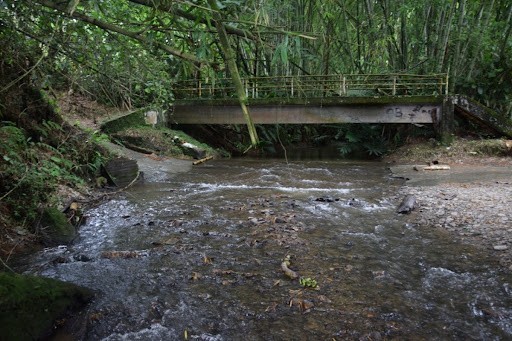 Foto de Finca en Venta en La cabaña, Manizales - 18 - 279024307