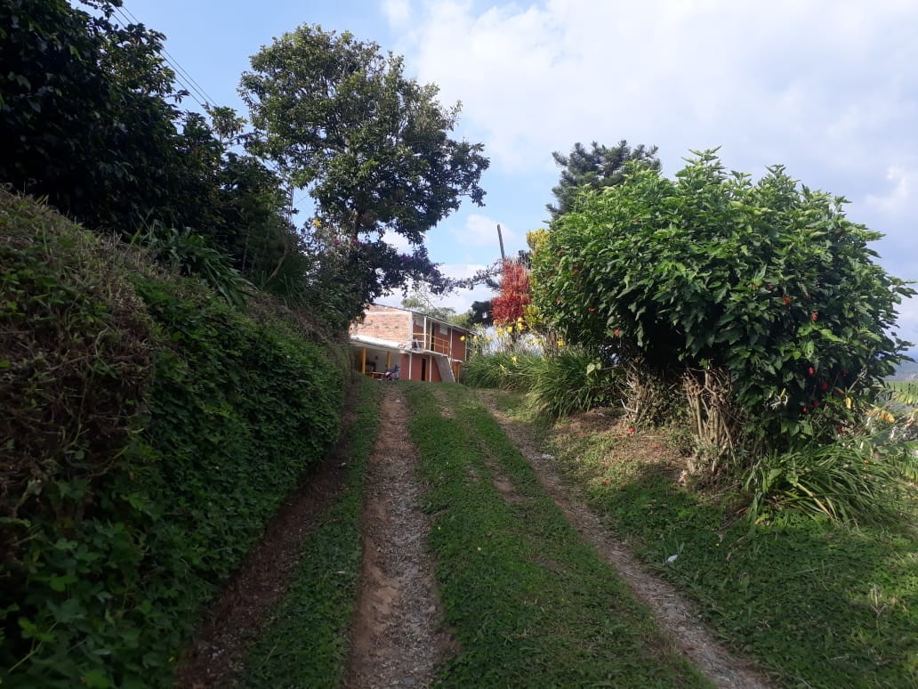 Foto de Finca en Venta en Alto chuscal, Chinchina - 2 - 21129