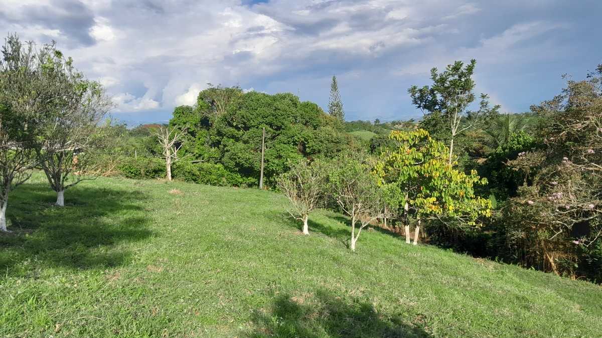 Foto de Lote / terreno en Venta en Arauca via risaralda, Risaralda - 21 - 279024588