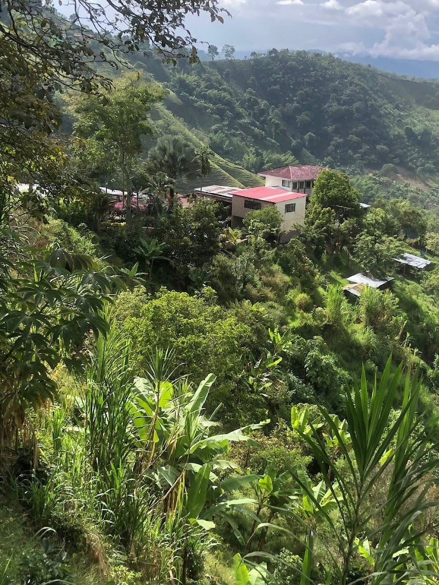 Foto de Finca en Venta en Vereda el higueron, Neira - 10 - 24699