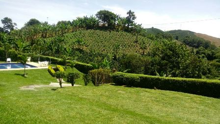 Foto de Finca en Venta en Centro, Manizales - 8 - 52994