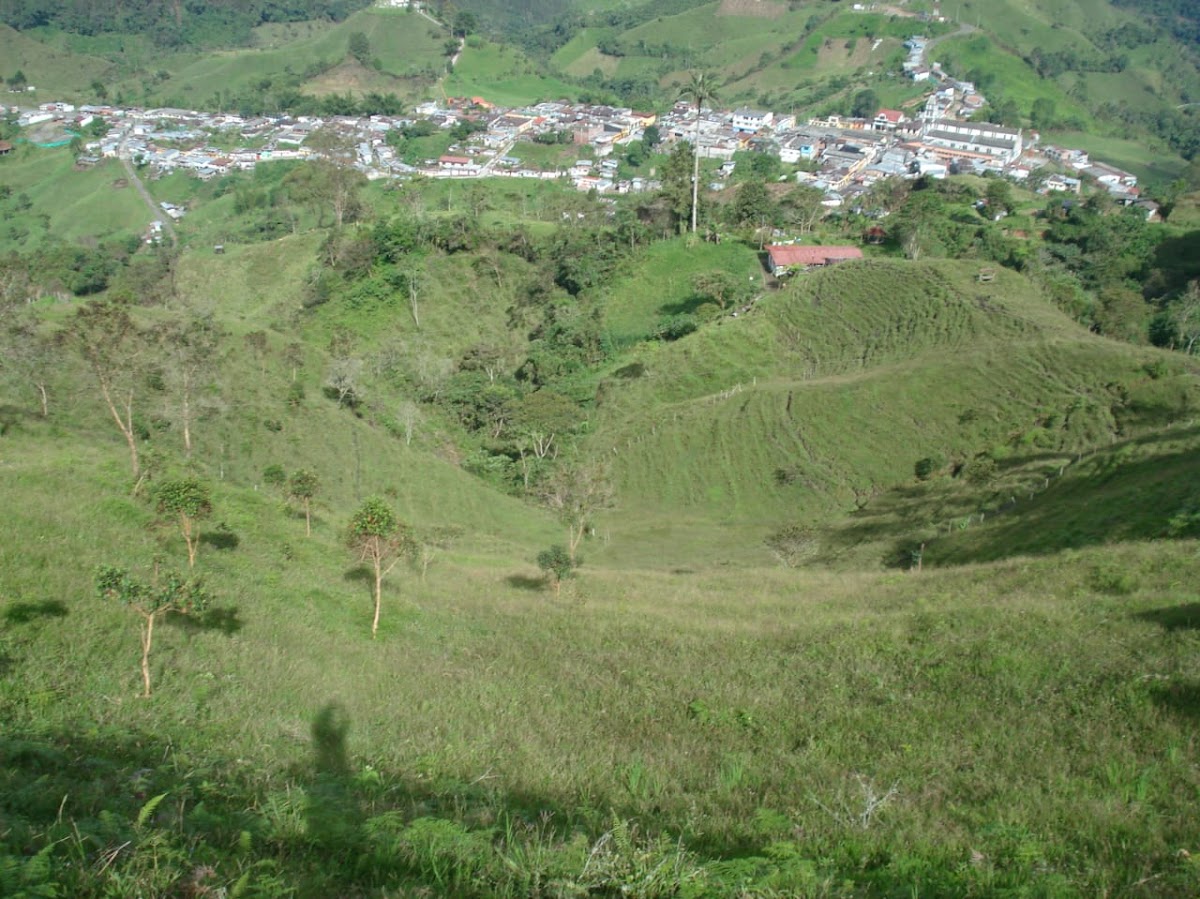 Foto de Finca en Venta en Padua, Libano - 4 - 279020339