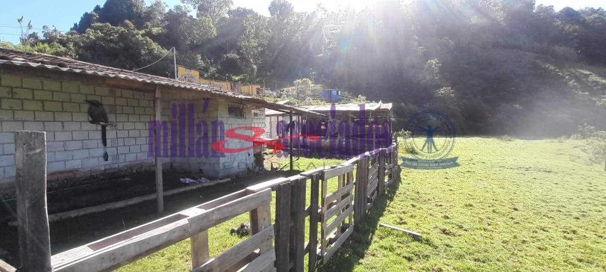 Foto de Lote / terreno en Venta en Cerro de oro, Manizales - 13 - 51810