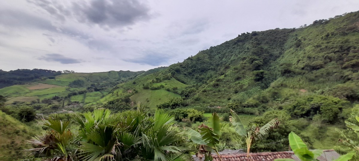 Foto de Finca en Venta en Los nogales, Manizales - 15 - 24633