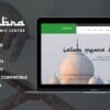 Alhambra - Mosque & Islamic Centre Church WordPress Theme + RTL