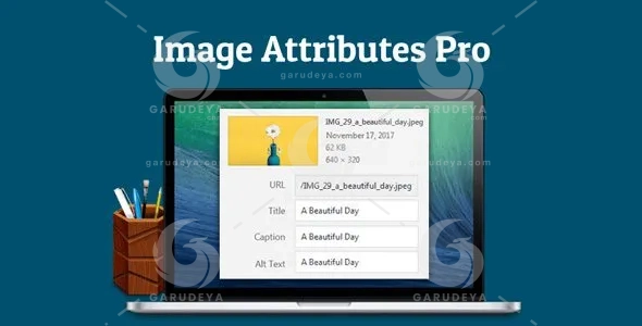 Auto Image Attributes Pro WordPress Plugin