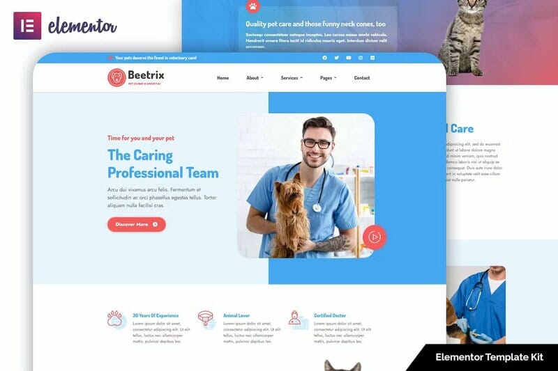 Beetrix – Pet Clinic & Hospital Elementor Template Kit