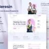 Beresin - Modern Cleaning Service Business Elementor Kit