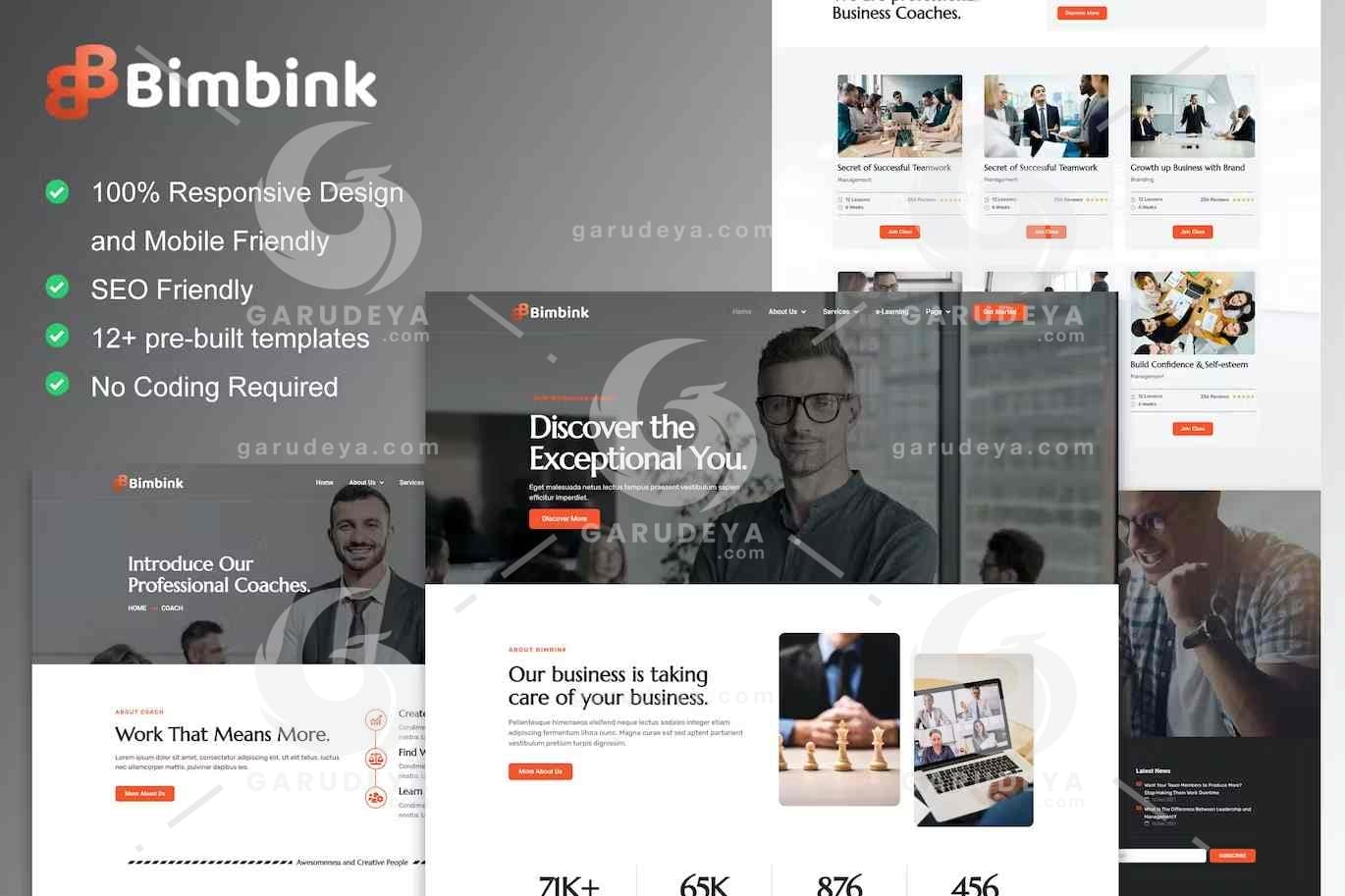 Bimbink – Business Coach & Consulting Elementor Template Kit