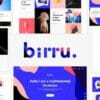 Birru - Simple Portfolio Elementor Template Kit