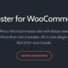 Booster Plus for WooCommerce