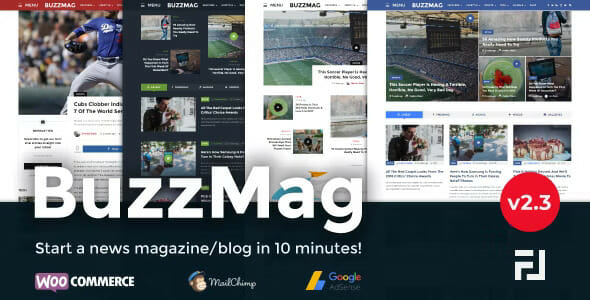 BuzzMag – Viral News WordPress Magazine/Blog Theme