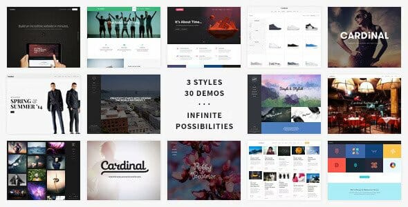 Cardinal – WordPress Theme