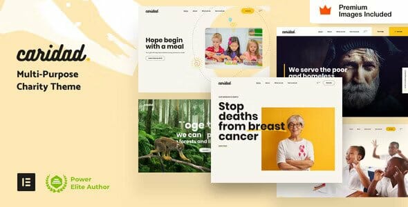 Caridad – Charity WordPress Theme