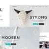 Conall - Clean Multipurpose Theme