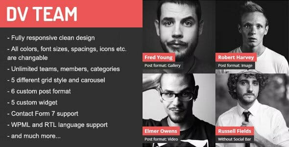 DV Team Responsive Team Showcase WordPress Plugin