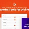 Divi Pixel WordPress Plugin