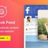 Elfsight Facebook Feed Plugin