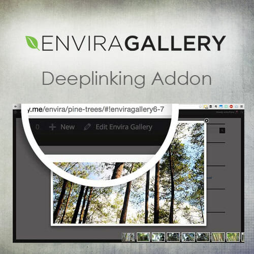 Envira Gallery Deeplinking Add-On