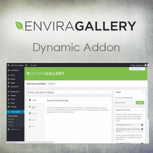 Envira Gallery Dynamic Add On