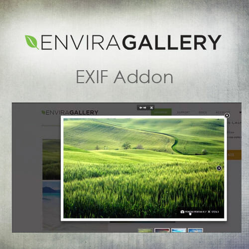 Envira Gallery Exif Addon