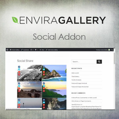 Envira Gallery Social Sharing Addon