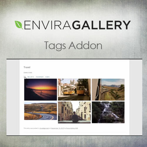 Envira Gallery Tags Addon