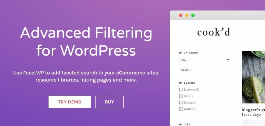 FacetWP – Advanced Filterings Plugin For WordPress