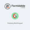 Formidable Forms Polylang Multilingual Add-on