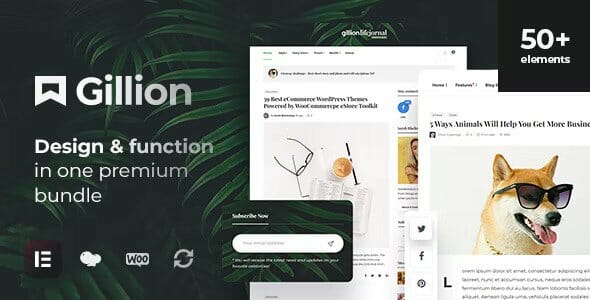 Gillion – Multi-Concept Blog/Magazine & Shop WordPress AMP Theme