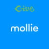 Givewp Mollie Payment Gateway Addon