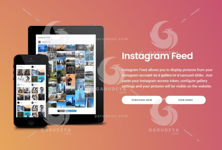 Instagram Feed Pro By QuadLayers