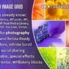 Justified Image Grid - Premium WordPress Gallery