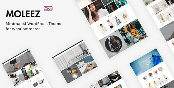 Moleez – Minimalist WordPress Theme for WooCommerce