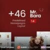 Mr.Bara - Responsive Multi-Purpose eCommerce WordPress Theme