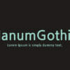 Nanum Gothic Font
