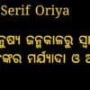 Noto Serif Oriya Font