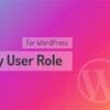 Pages by User Role for WordPress