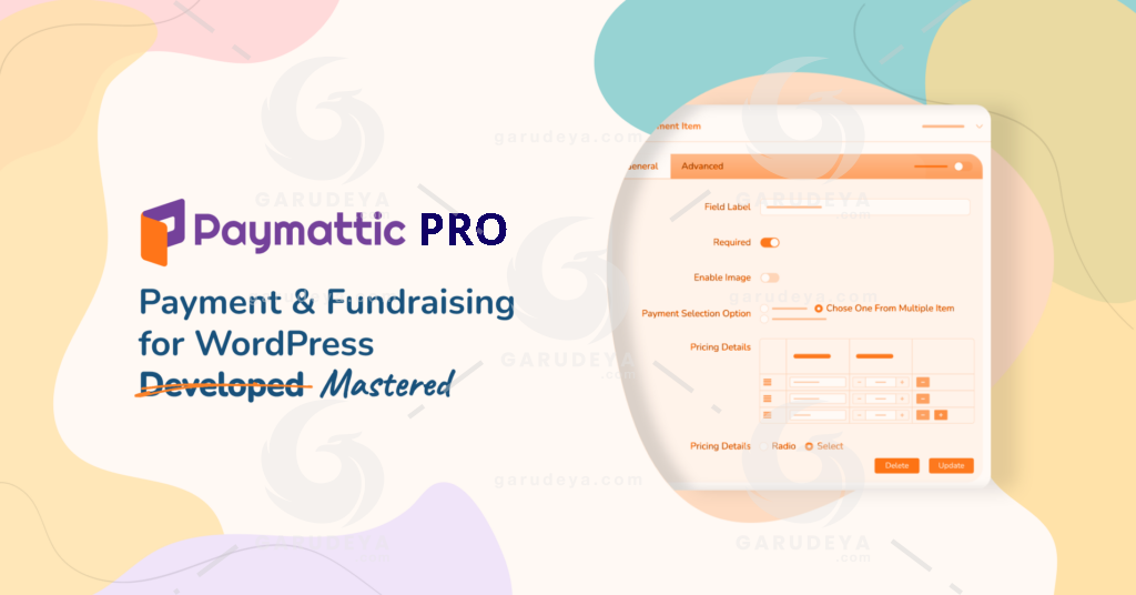 Paymattic Pro – WordPress Payment and Donation