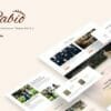 Rabio - Wedding Event Organizer Elementor Template Kit