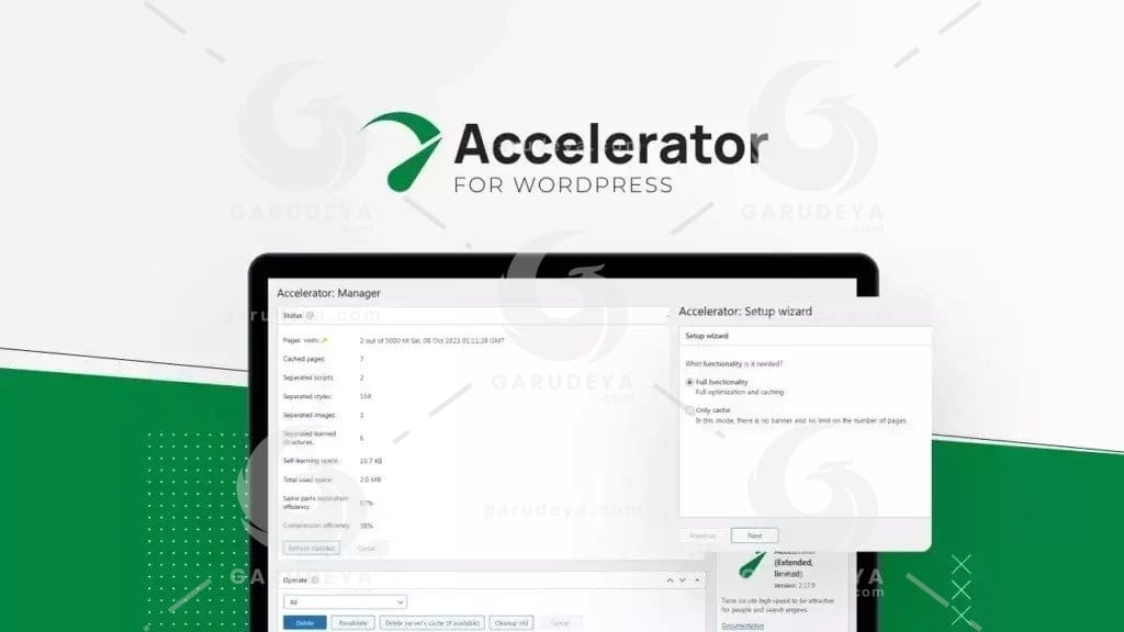 Seraphinite Accelerator Extended Premium for WordPress