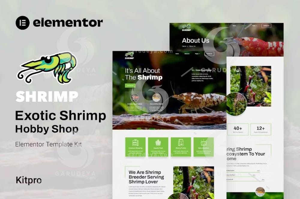 Shrimp - Aquarium & Hobby Shop Elementor Template Kit