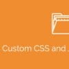 Simple Custom CSS and JS PRO