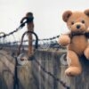 Tales of Tenacity Teddy Bear's Journey Across the Barbed Wire