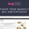 Tasty Pins Wordpress Plugin