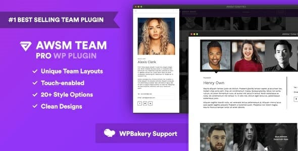 The Team Pro Team Showcase Plugin