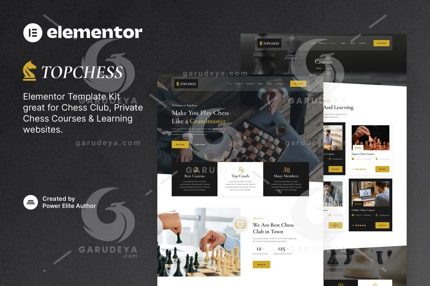 Topchess – Chess Club Courses & Training Elementor Template Kit